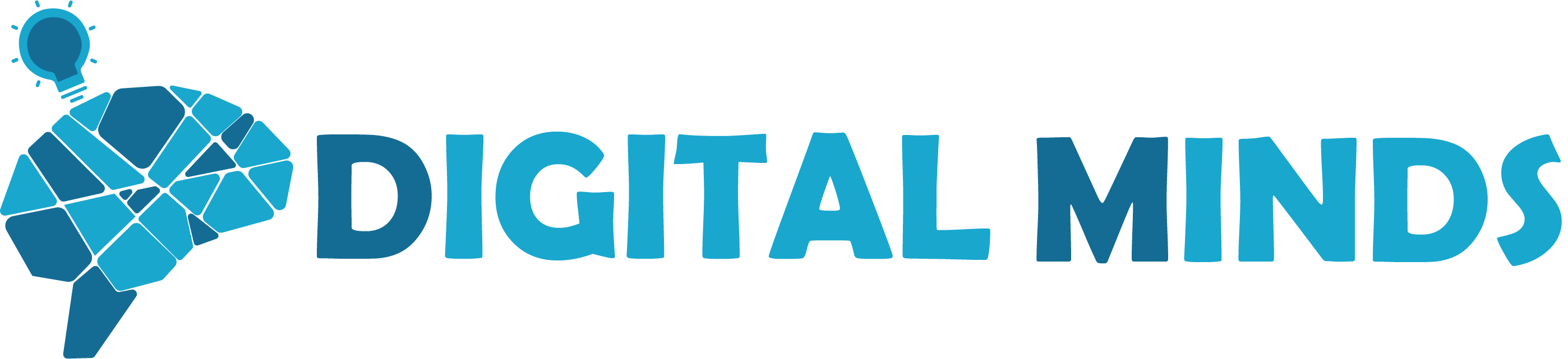 Digital Minds